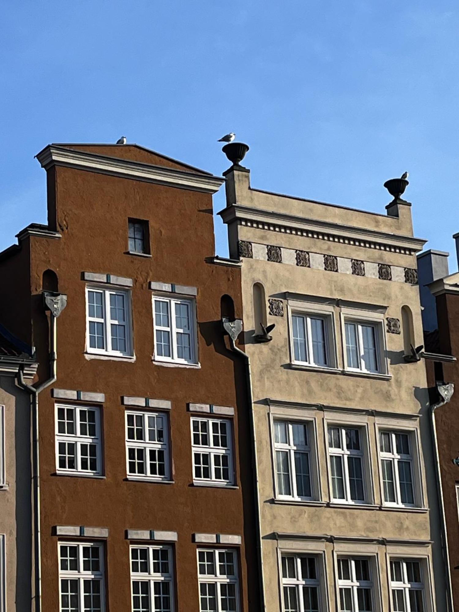 Grand Apartment - Old Town & City Center Gdańsk Extérieur photo